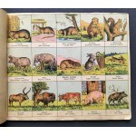 [Reklama] ATLASIK ZOOLOGICZNY z tekstem polsko-łacińskim do użytku szkolnego. Swoim młodym przyjaciołom w darze: Henryka Francka Synowie Fabryka Środków Kawowych S. A. SKAWINA kolo KRAKOWA. Kraków [1935]