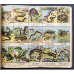 [Reklama] ATLASIK ZOOLOGICZNY z tekstem polsko-łacińskim do użytku szkolnego. Swoim młodym przyjaciołom w darze: Henryka Francka Synowie Fabryka Środków Kawowych S. A. SKAWINA kolo KRAKOWA. Kraków [1935]