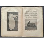 [Wyd.2] GUTZMAN Z.[ofia] - KRÓLIK. PORADNIK DLA HODOWCÓW. Warszawa [1922]