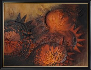 Joanna Rogowska, Enchanted Oranges