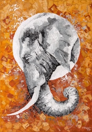 Anna Stępień ( 1982 ), from the series: In the circle of nature - Elephant