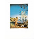 Salvador Dali (1904 - 1989), Dali Nude, in Contemplation Before the Five Regular Bodies