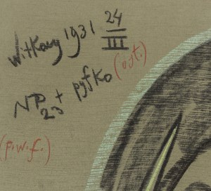 Stanisław Ignacy Witkiewicz \ Witkacy (1885 Warszawa - 1939 Jeziory na Polesiu), Portret Neny Stachurskiej, 1931