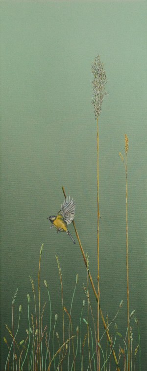 Catherine Wendland, Sikorka