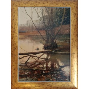 Vladimir Vilenchyts Somewhere on the Bzura River