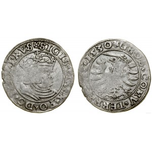 Polen, Pfennig, 1530, Toruń