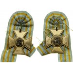 Europe, fancy badge
