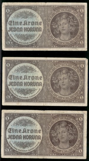 Bohemia & Moravia. 1 Koruna 1942 3 Pieces