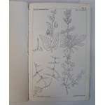 HONINGBERGER Johann Martin - Früchte aus dem Morgenlande oder, Reise-Erlebnisse 1851 [OWOCE ORIENTU DOŚWIADCZENIA MEDYCZNE]