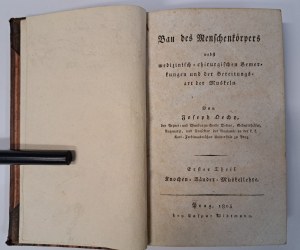 DECHY - Bau des Menschenkörpers nebst medizinisch chirurgischen Semer kungen und der Bereitungs.art der Muskeln 1805 [MEDICINE].