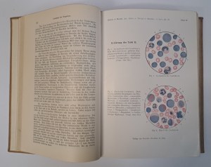 HUTYRA, MAREK - Spezielle Pathologie und Therapie der Haustiere 1922 band I-III [VETERINARY].