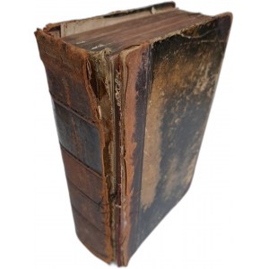 HENGSTEBECK Th. - Dr. Puhlmann's Handbuch der Homöopathischen Praxis 1901 [HOMEOPATIA]
