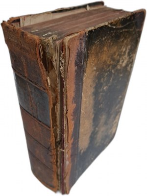 HENGSTEBECK Th. - Dr. Puhlmann's Handbuch der Homöopathischen Praxis 1901 [HOMEOPATIA].