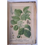 HENGSTEBECK Th. - Dr. Puhlmann's Handbuch der Homöopathischen Praxis 1901 [HOMEOPATIA]