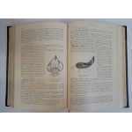 Real-Enzyklopädie der gesamten Pharmazie. Handwörterbuch für Apotheker 13 banden 1904 [ENCYKLOPEDIA FARMACEUTYCZNA]
