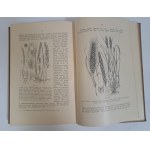 Lehrbuch für Aspiranten der Pharmazie 4 banden 1909 [FARMACJA]