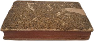 GAUBUYS Hieronymi Davidis - Libellus de methodo concinnandi formulas medicamentorum 1767 [MEDICINE RECEPTURES].