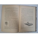 SCHEFF Julius - Handbuch der zahnheilkunde 1892 [STOMATOLOGIA]