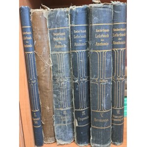 Rauber's Lehrbuch Anatomie des Menschen in 6 abteilungen 1914 [ANATOMIA]