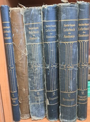 Rauber's Lehrbuch Anatomie des Menschen in 6 abteilungen 1914 [ANATOMY].