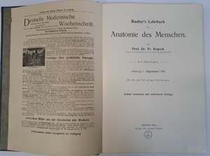 Rauber's Lehrbuch Anatomie des Menschen in 6 abteilungen 1914 [ANATOMY].