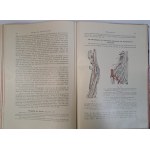 Rauber's Lehrbuch Anatomie des Menschen in 6 abteilungen 1914 [ANATOMIA]