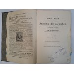 Rauber's Lehrbuch Anatomie des Menschen in 6 abteilungen 1914 [ANATOMIA]