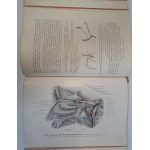 Rauber's Lehrbuch Anatomie des Menschen in 6 abteilungen 1914 [ANATOMIA]
