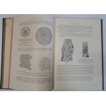 Rauber's Lehrbuch Anatomie des Menschen in 6 abteilungen 1914 [ANATOMIA]