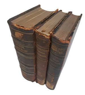 Jahres-Bericht über die Leistungen der chemischen Technologie 3 Banden 1897 [CHEMIA, PHARMACY].