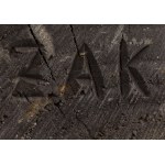 Tadeusz Żak (1925 Gruchawka - 1998 ), Kobieta z balią