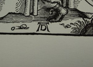 Albrecht Dürer (1471-1528) 