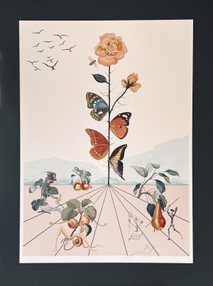 Salvador DALI (1904-1989) Flordali II, La Rose Papillon