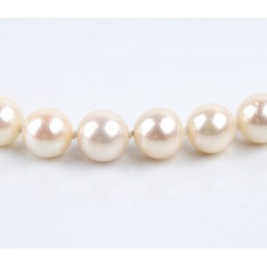 Diamond gold pearl necklace