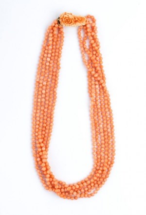 Pink shell and necklace with gold clasp