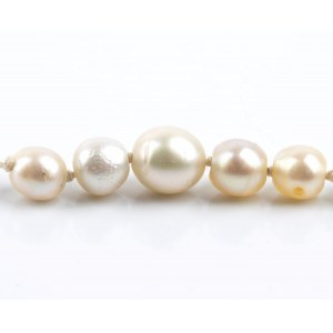 Freshwater pearl necklace with gold and silver clasp