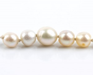 Freshwater pearl necklace with gold and silver clasp