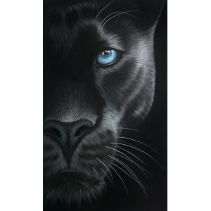 Paulina Wróblewska, Ayo z cyklu Wild Eyes, 2025