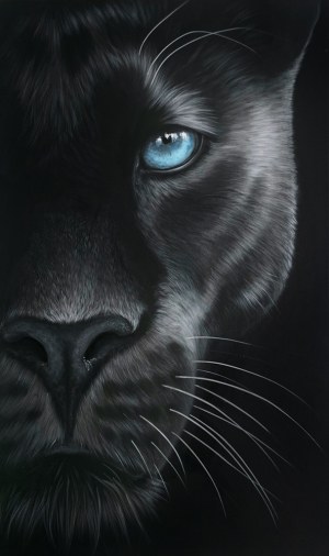 Paulina Wróblewska, Ayo from the Wild Eyes series, 2025