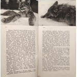 Białowieża - Wydawnictwo Popierania Turystyki, Warszawa 1936 [ Park Narodowy, Orbis Zakopane]