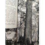 Białowieża - Wydawnictwo Popierania Turystyki, Warszawa 1936 [ Park Narodowy, Orbis Zakopane]