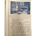 Kúpele Druskininkai - turistický sprievodca, Vilnius 1936 print