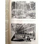 Nauwelaerts L. - Nafta - Potęga Ziemi z 16 rycinami, Lwów [ 1938 ]