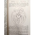 Dr. A. Dryjski - Mózg i Dusza - z 58 ilustracjami - Warszawa ca. 1934