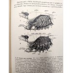 Nasbaum Józef, Zootomia Praktyczna z licznymi rycinami w tekście - Warszawa 1908 [ Anatomia zwierząt]