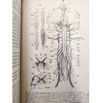 Nasbaum Józef, Zootomia Praktyczna z licznymi rycinami w tekście - Warszawa 1908 [ Anatomia zwierząt]