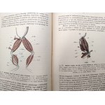 Nasbaum Józef, Zootomia Praktyczna z licznymi rycinami w tekście - Warszawa 1908 [ Anatomia zwierząt]