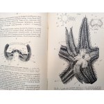 Nasbaum Józef, Zootomia Praktyczna z licznymi rycinami w tekście - Warszawa 1908 [ Anatomia zwierząt]