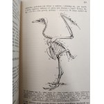 Nasbaum J. - Zoologia z 229 rycinami i 4 tablicami barwnymi, Lwów 1912