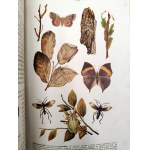 Nasbaum J. - Zoologia z 229 rycinami i 4 tablicami barwnymi, Lwów 1912
